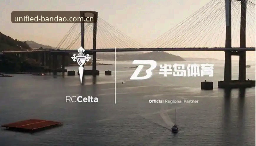 资深用户分享：半岛体育平台从入门到精通的实战心得